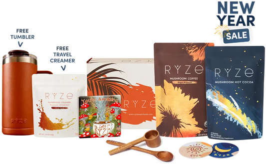Day + Night Bundle - Coffee Cocoa