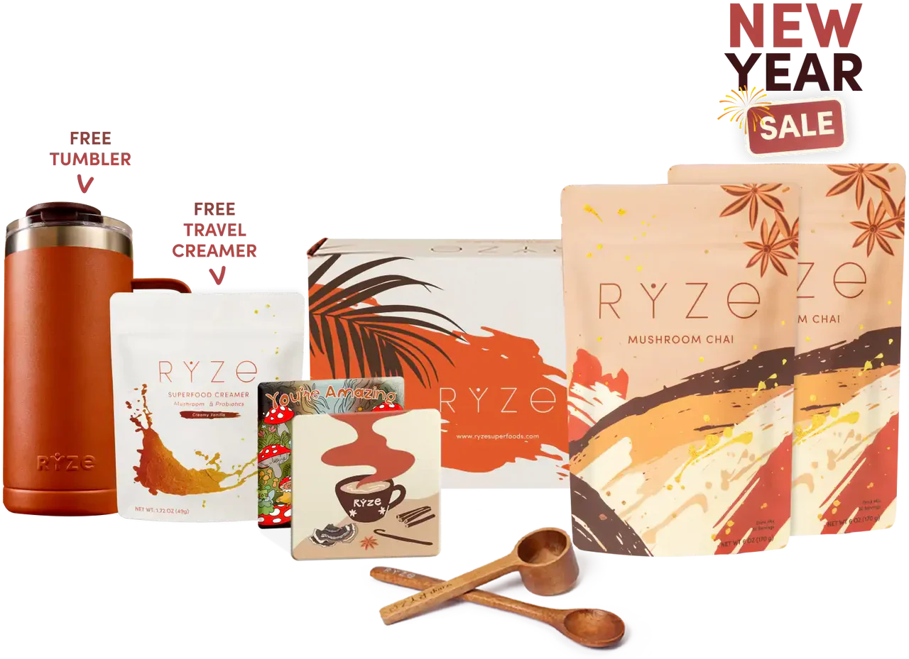 Starter Kit - Chai 40 Serving