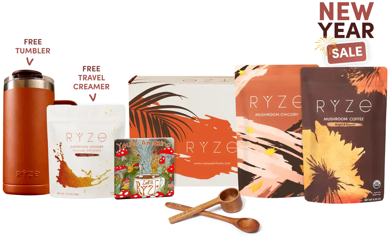Lasting Energy Bundle - Coffee Chicory