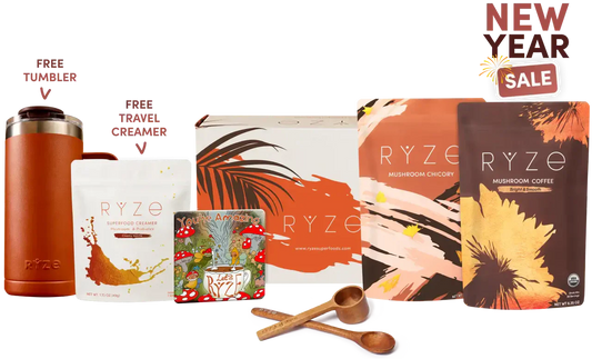 Lasting Energy Bundle - Coffee Chicory