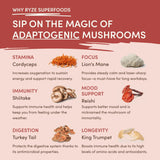 Mushroom Chai - Chai