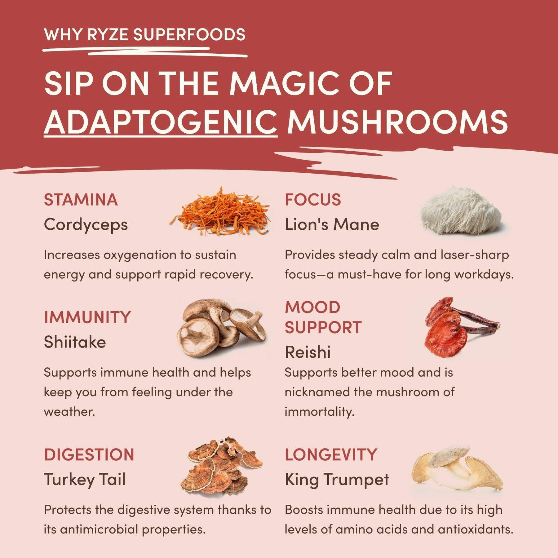 Mushroom Chai - Chai